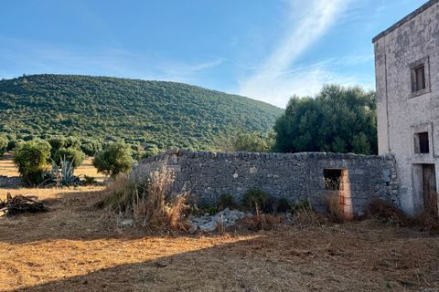 Landejendom i Cisternino, Brindisi, Cisternino - € 1.111.111 | Ref: 381 - foto 46